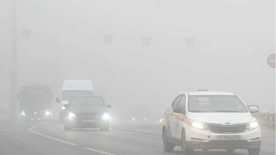 Фото: медиасток.рф