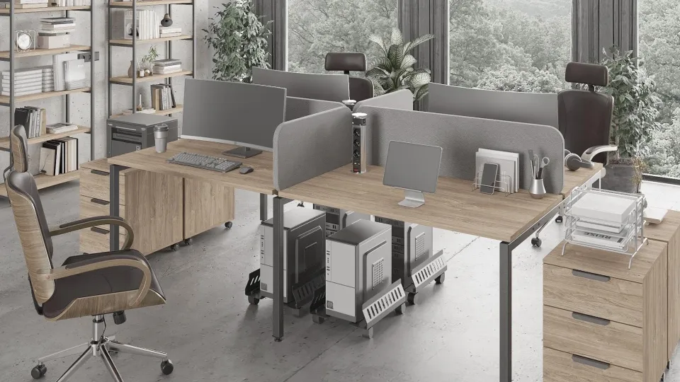 Фото: Администрация г.о. Солнечногорск