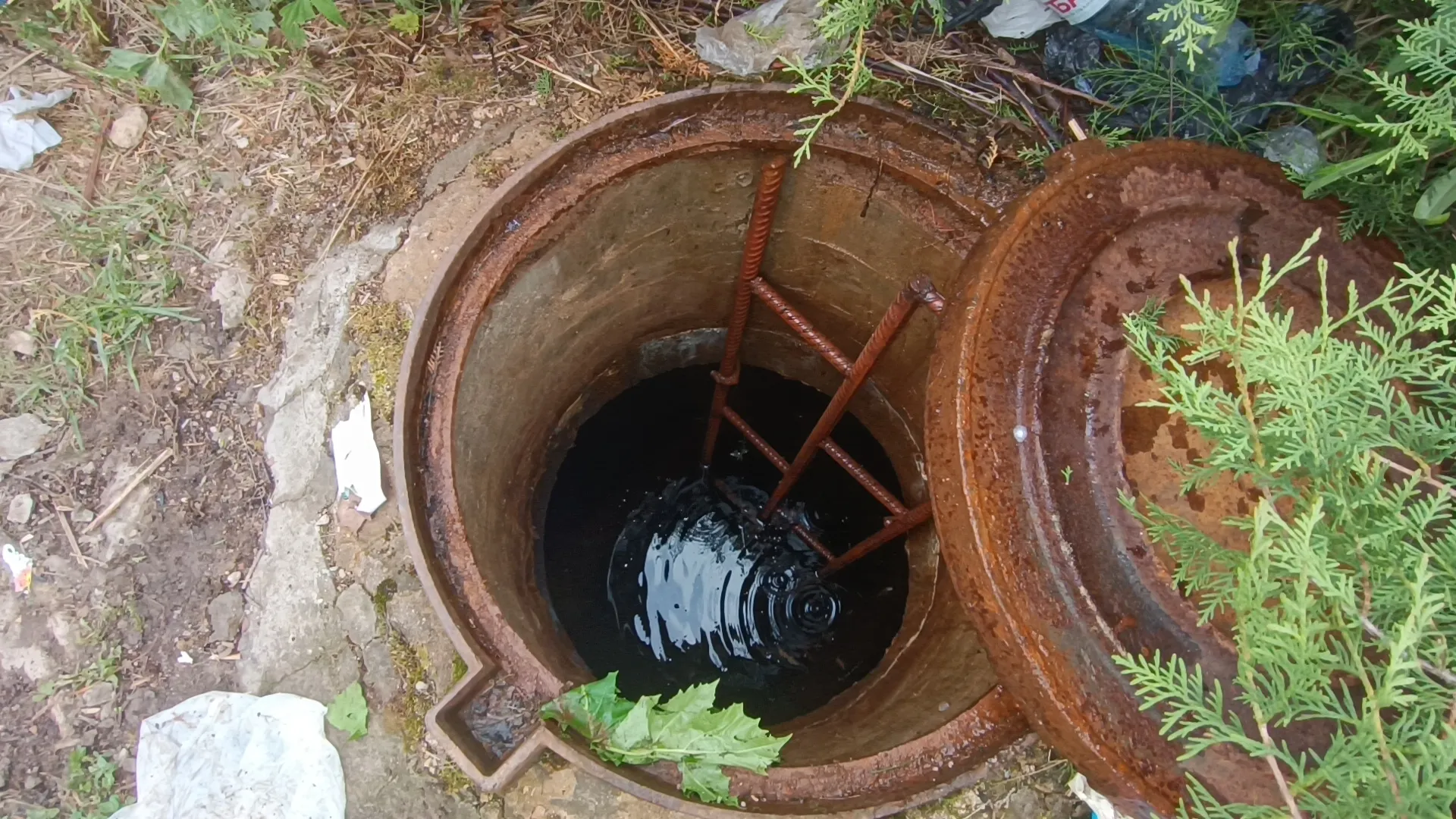 Фото: МедиаБанк Подмосковья/Екатерина Дятловская