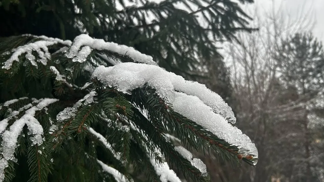 Фото: ГБУЗ МО «Мытищинская ОКБ»