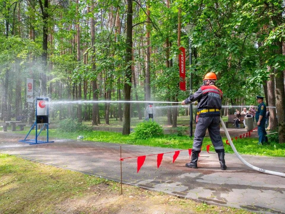 Фото: Парки г.о. Домодедово