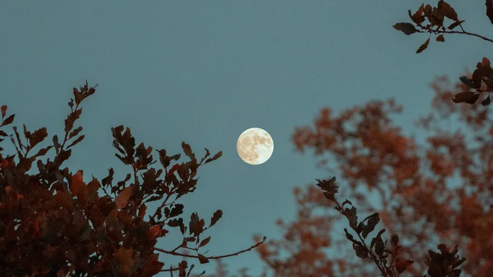 Фото: unsplash.com