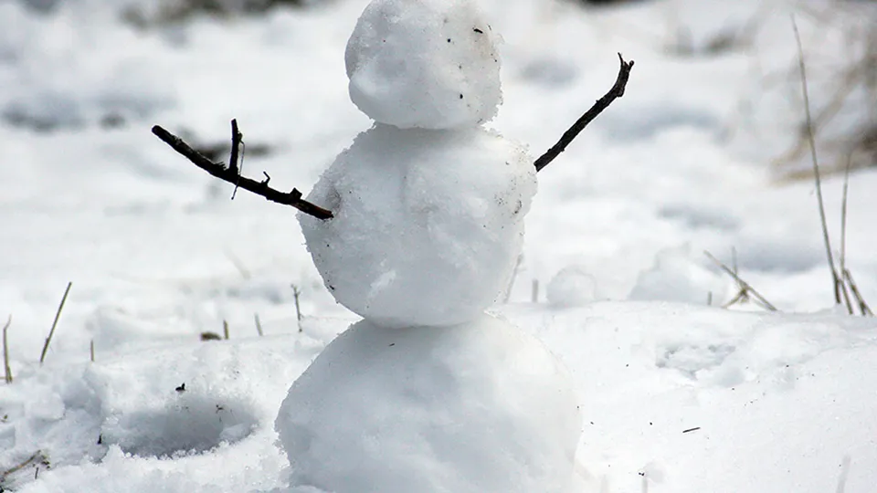 Фото: pxhere.com