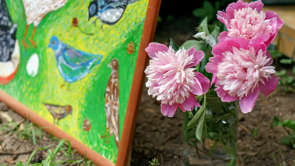 Фото: медиасток.рф