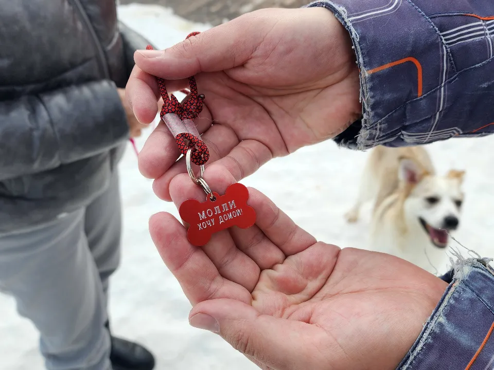 Фото: МедиаБанк Подмосковья/Валентина Максимова