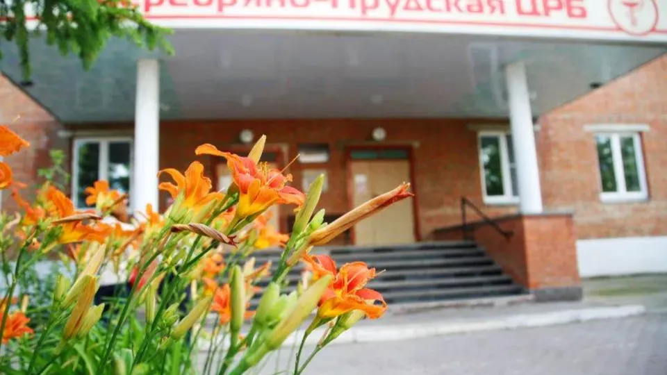 Фото: Серебряно-Прудская больница