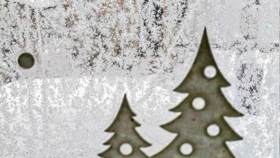 Фото: REGIONS/Роман Малышенко