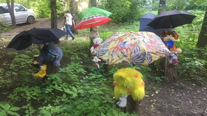 Алина Махиня / Подмосковье сегодня