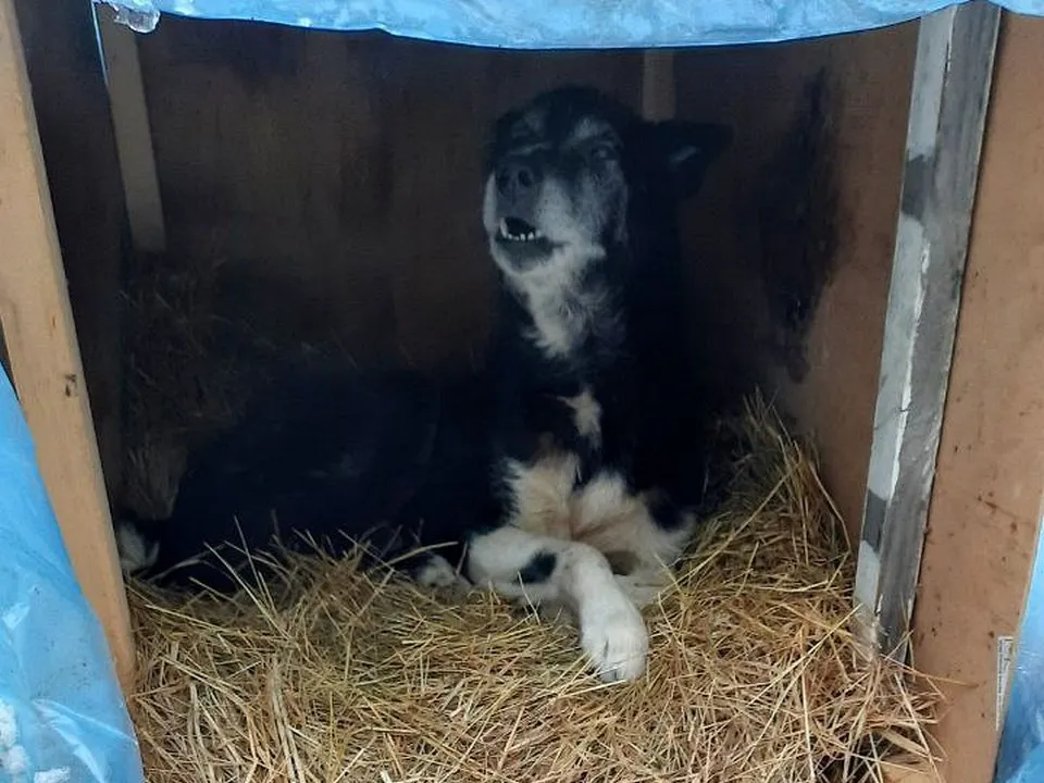 Фото: Елена Кудрявцева