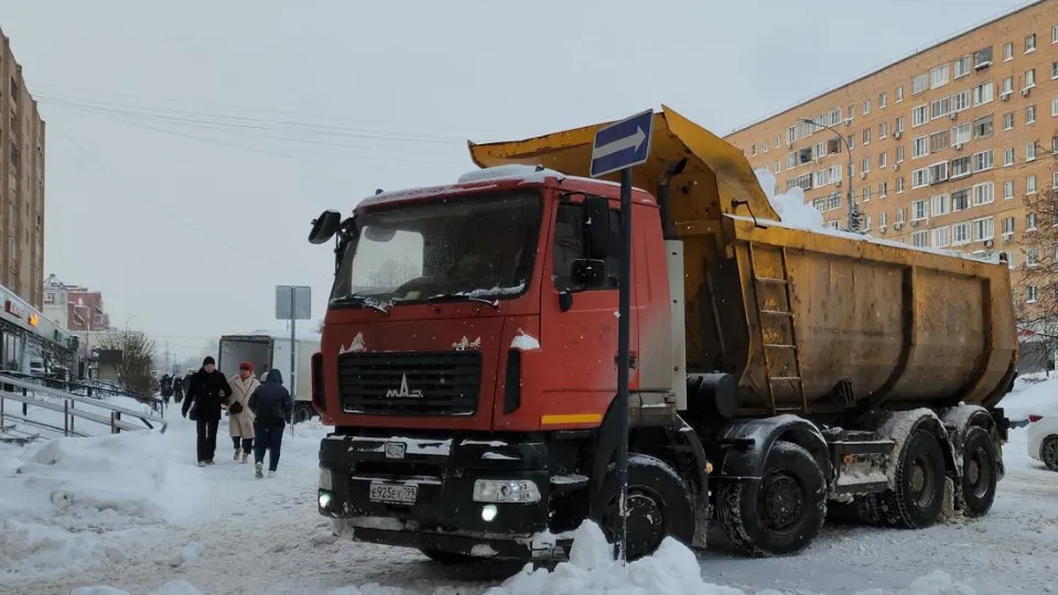 Фото: МедиаБанк Подмосковья/Екатерина Федосеева