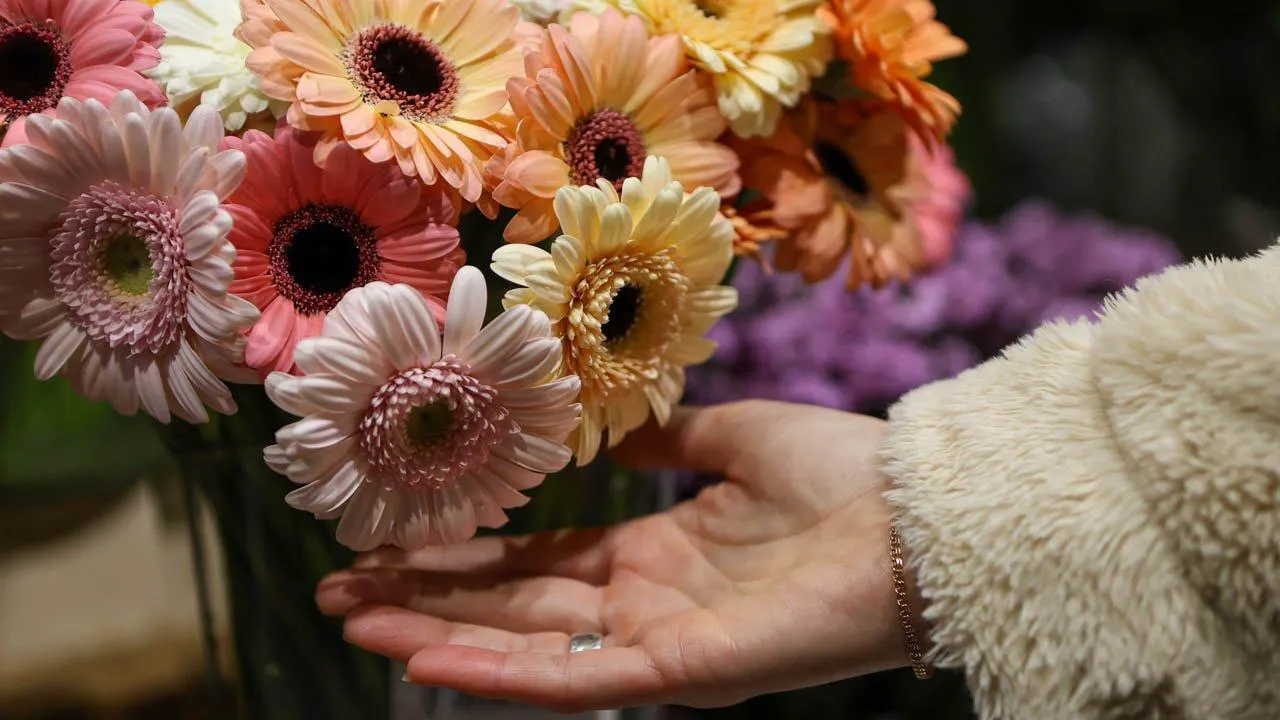 REGIONS/Роман Малышенко