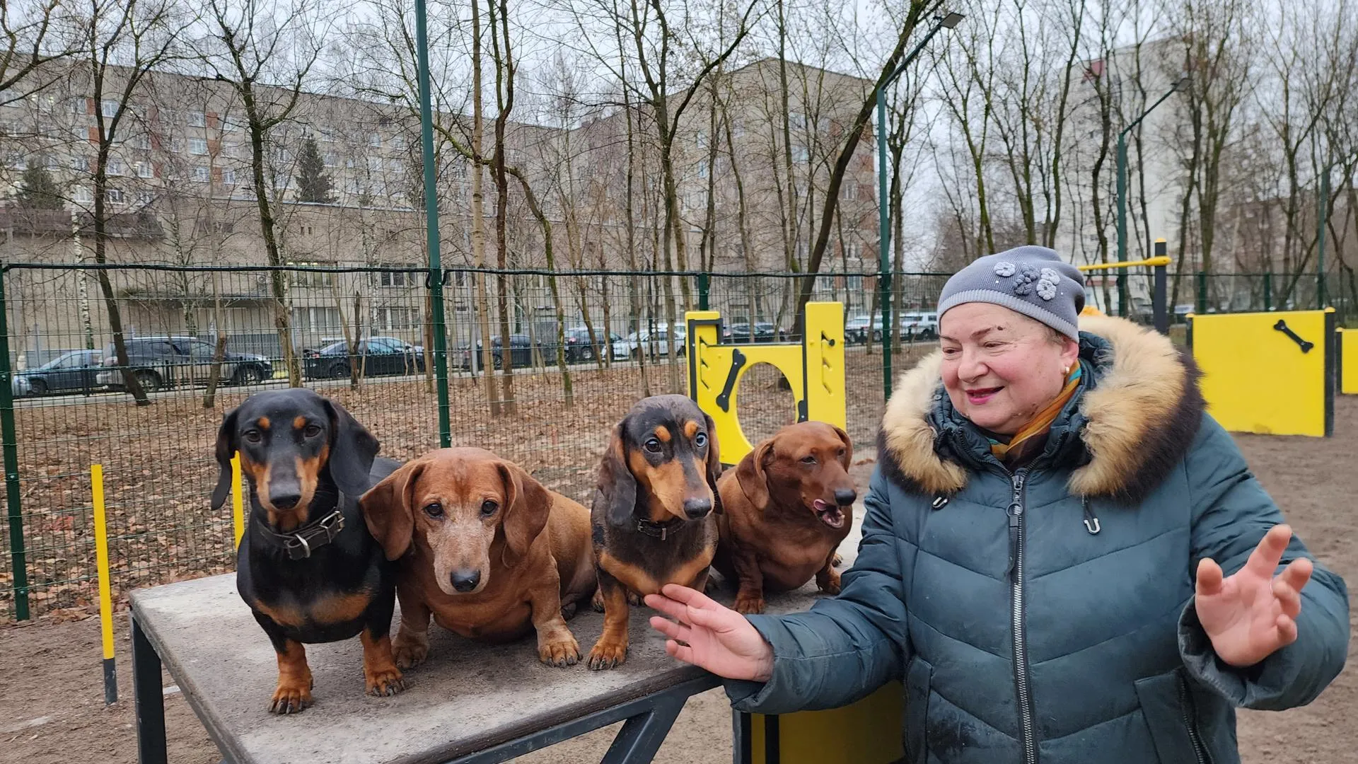 Фото Галины Добрыниной