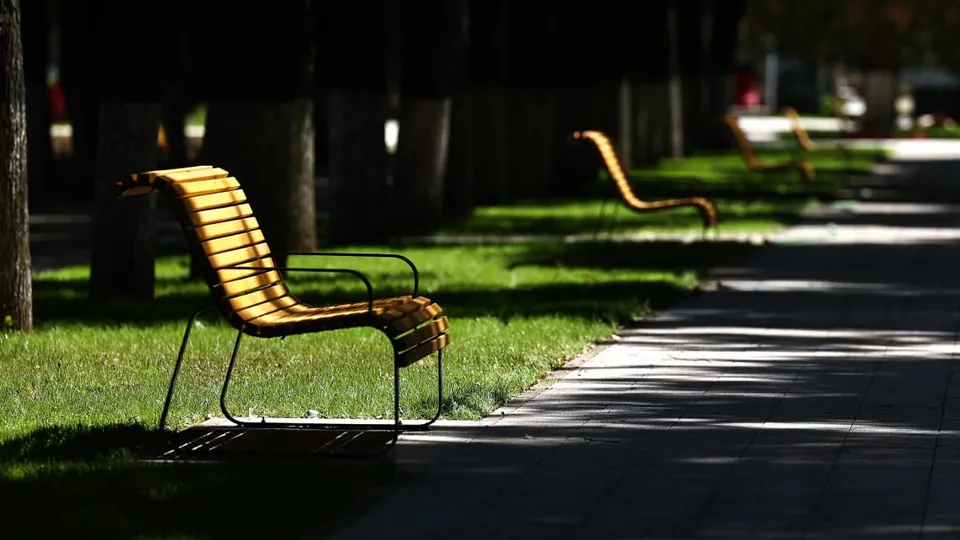 Фото: пресс-служба губернатора и правительства Московской области