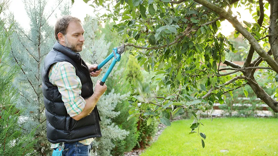 Фото: istockphoto.com