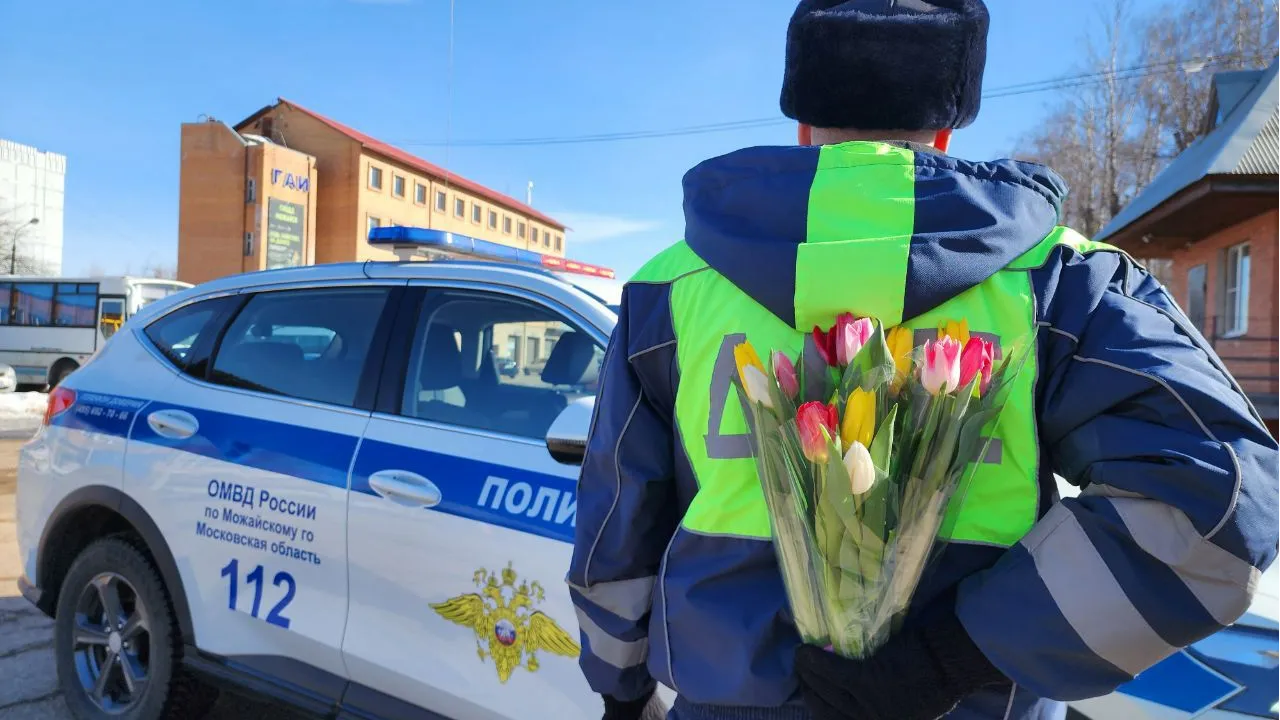 Фото: ОМВД России по Можайскому городскому округу