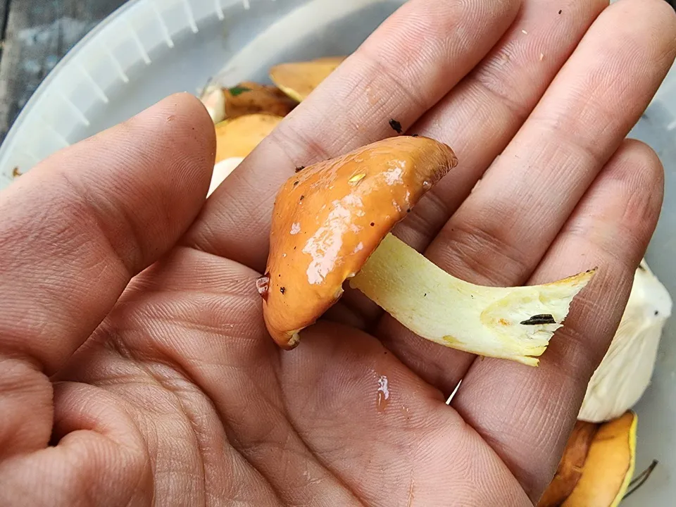 Фото: Ксения Пашуто<br>