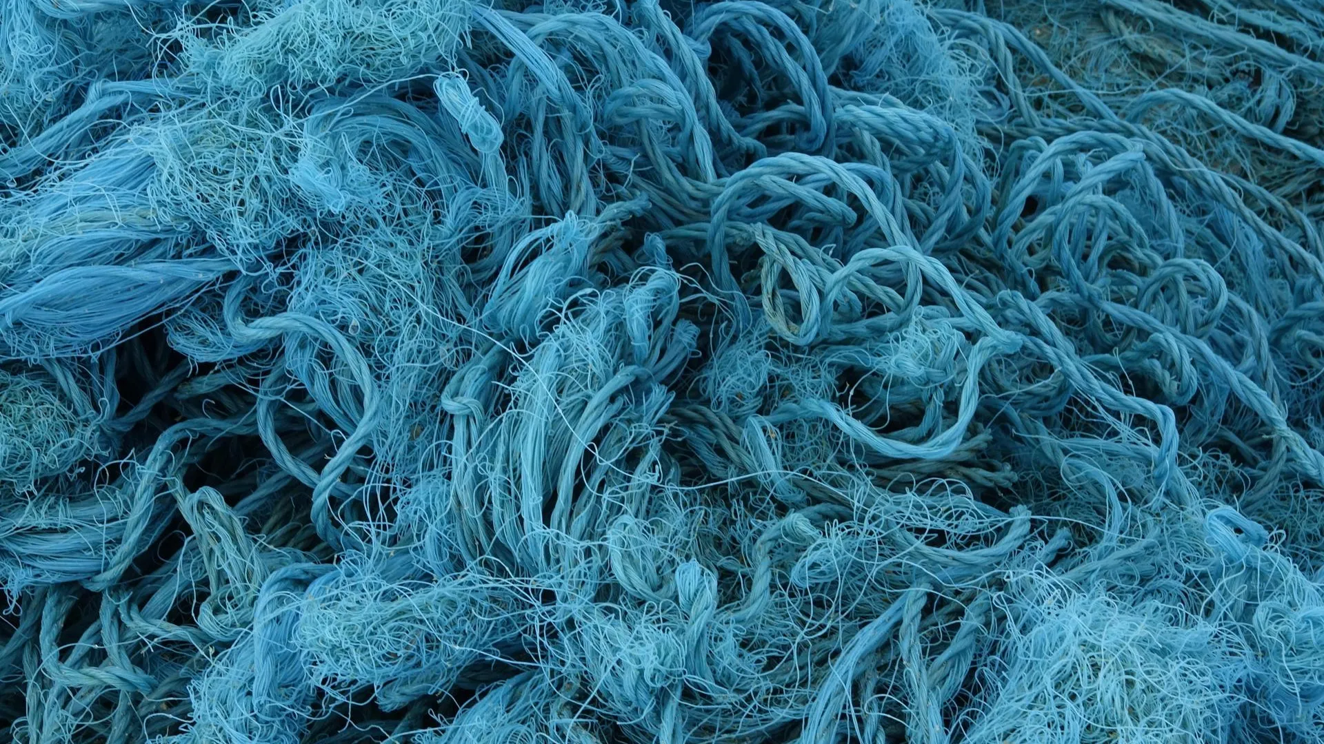 Olaf Krüger/imageBROKER.com