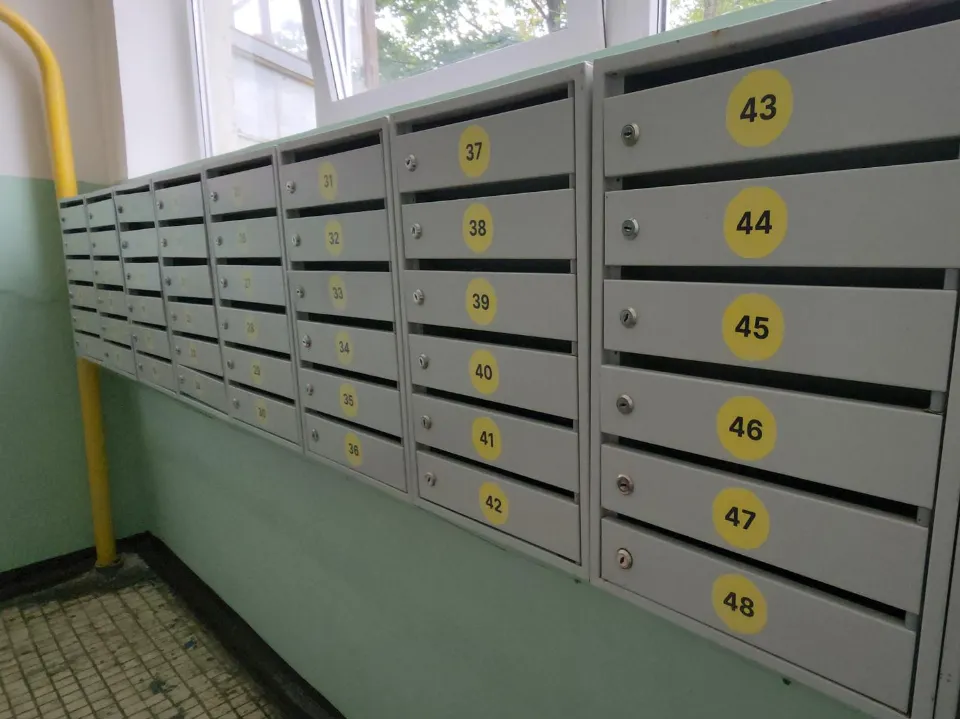 Фото: REGIONS/Артем Мишуков