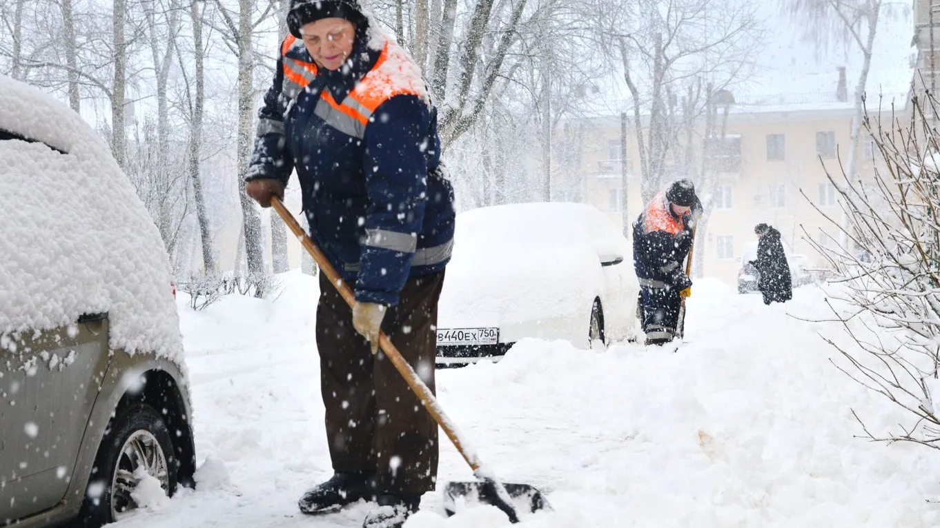 Фото: медиасток.рф