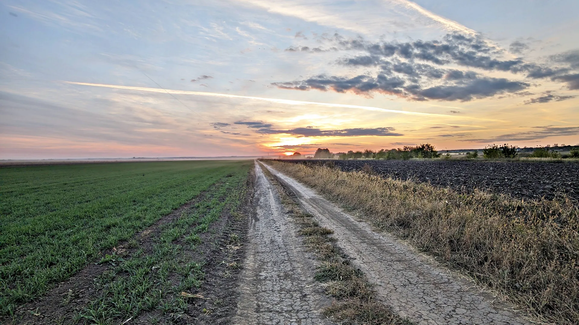 Фото: REGIONS/Алексей Селиверстов