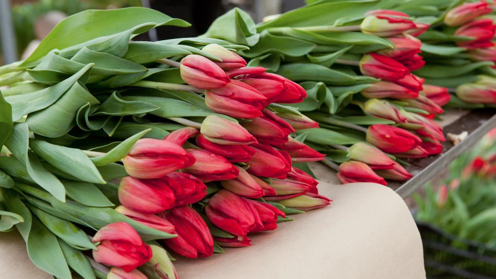 медиасток.рф