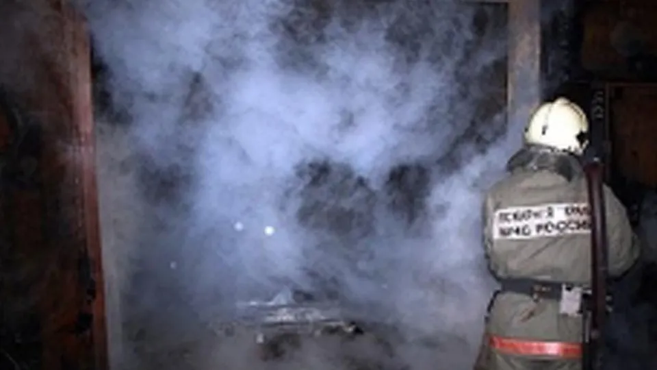 Фото: пресс-центр ГУ МЧС России по Московской области