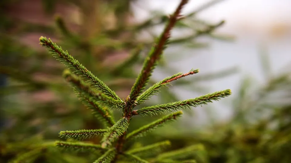 Фото: REGIONS/Владимир Ерастов