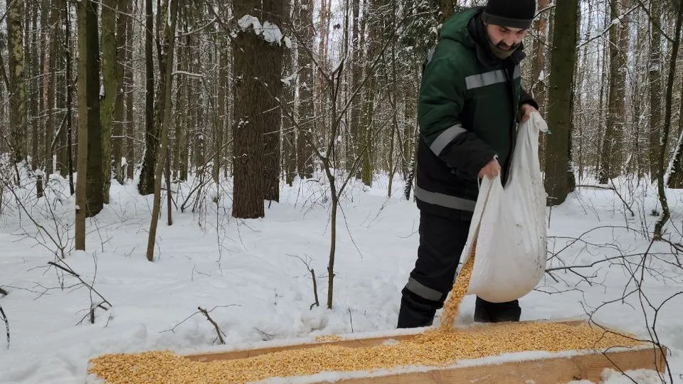 Фото: МедиаБанк Подмосковья/Роман Яковлев
