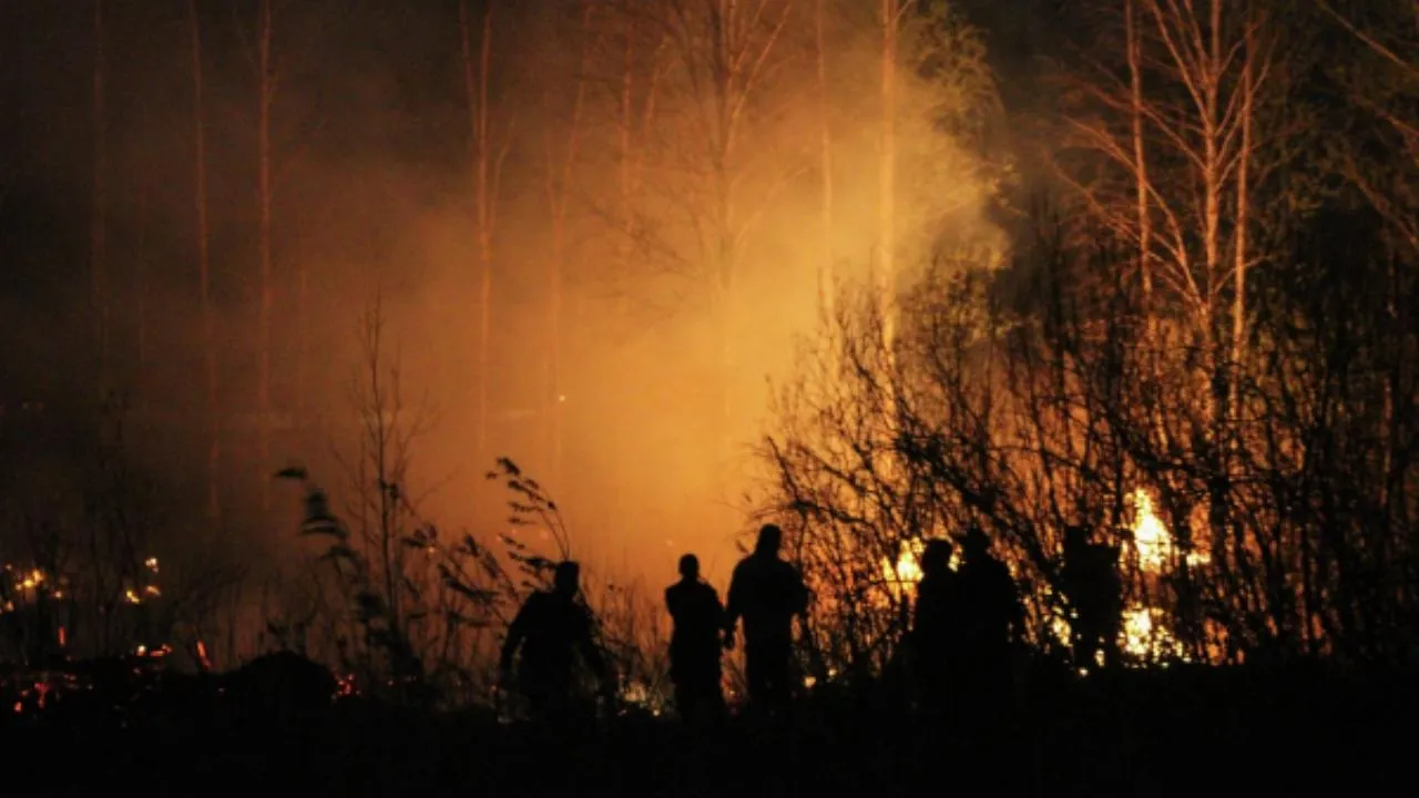Ливни в Хабаровском крае спасли ситуацию с лесными пожарами