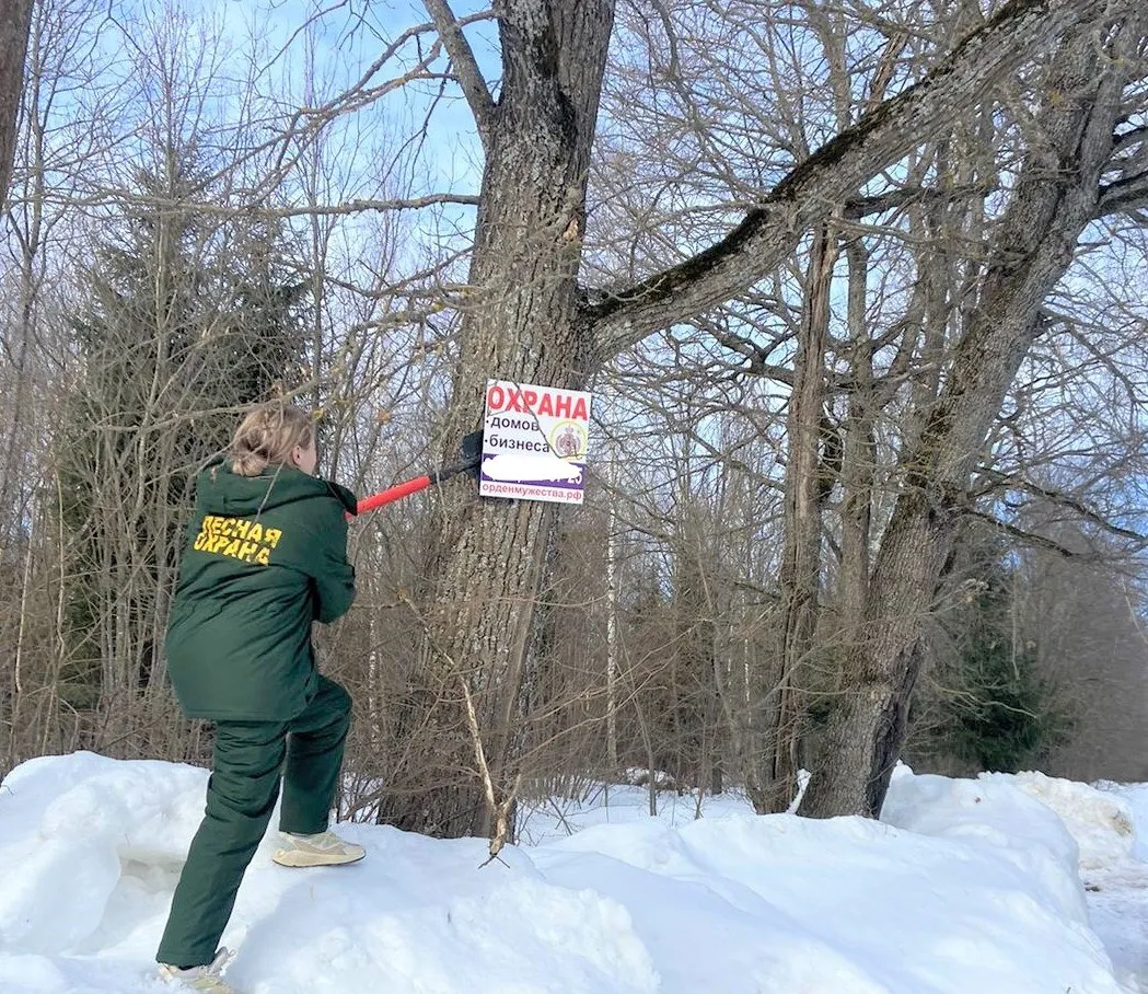 Фото: пресс-служба комитета лесного хозяйства Московской области