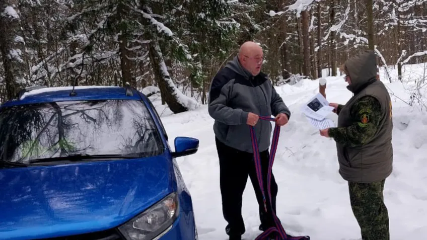 Фото: пресс-служба Комитета лесного хозяйства Московской области