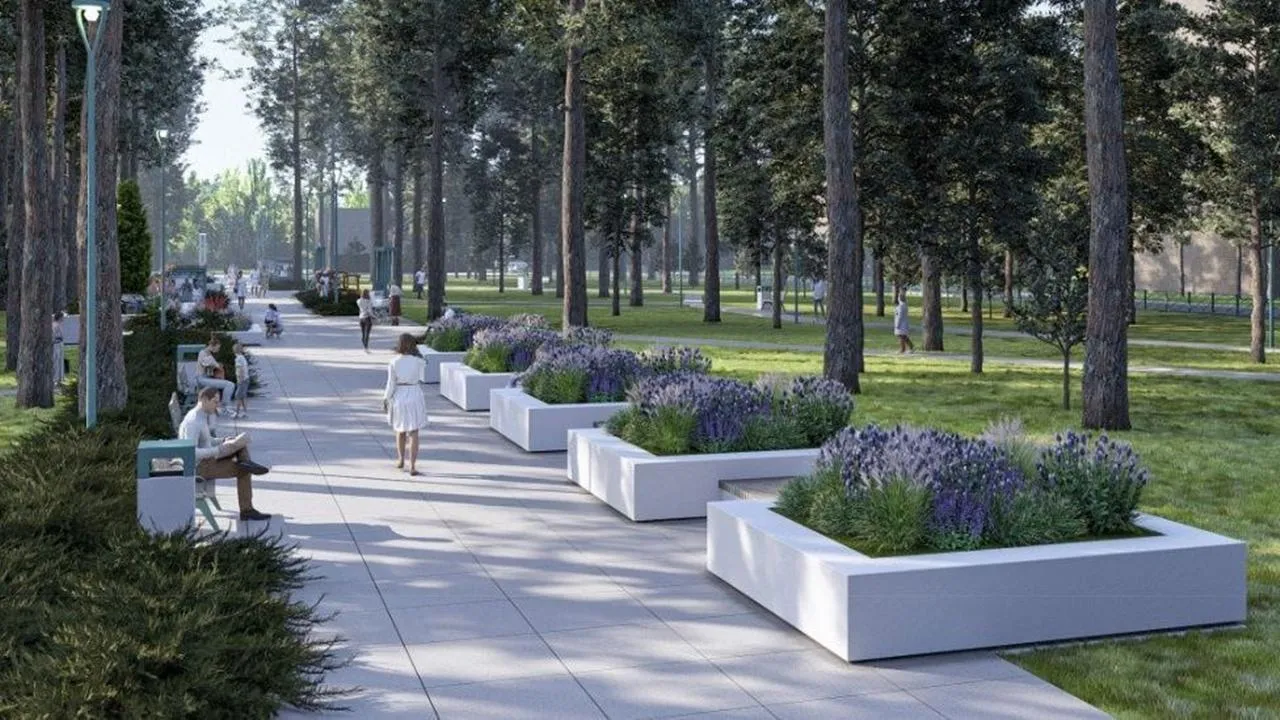 проектное решение