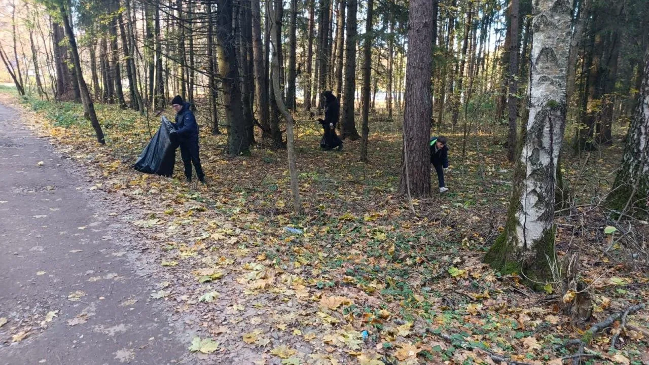 Фото: Комитет лесного хозяйства МО