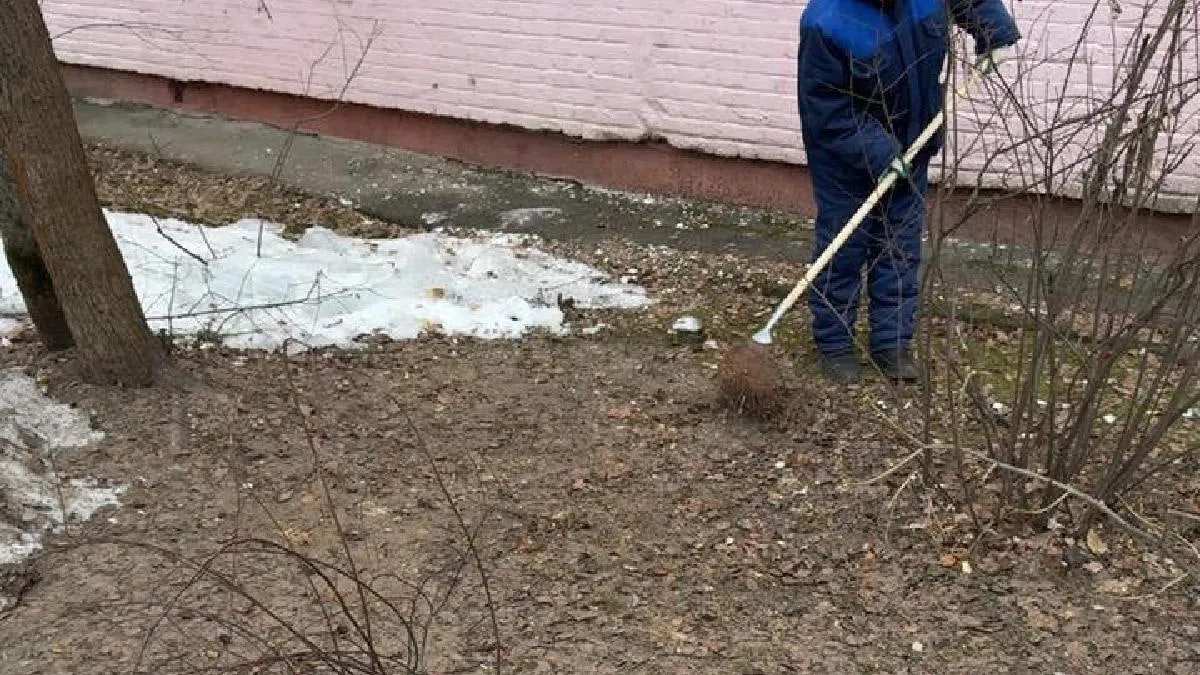 Фото: пресс-служба администрации Одинцовского городского округа