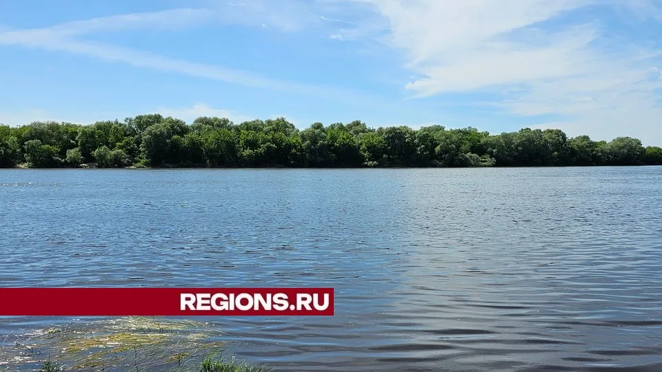 Фото: Александр Дрожжин