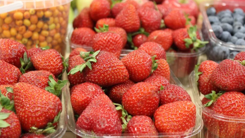 Фото: REGIONS/Анастасия Широкая