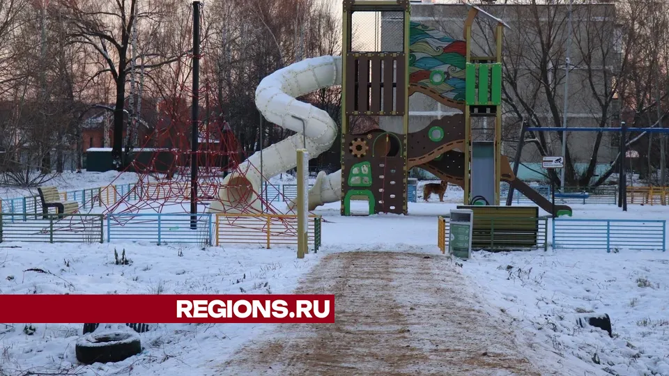 Фото: REGIONS/Василий Тремасов