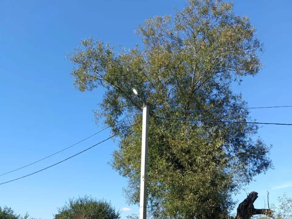 Фонарь в деревне Горсткино. Фото: пресс-служба администрации м.о. Лотошино