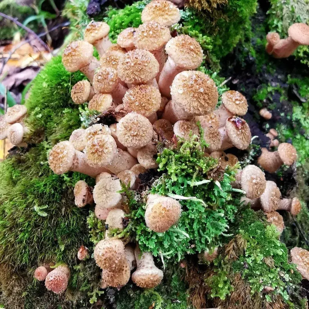 Талдом | Наш дом/ВКонтакте