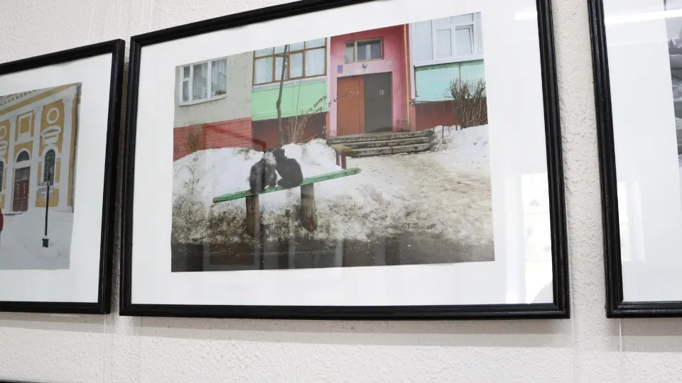 Фото: Коломенская картинная галерея «Дом Озерова»