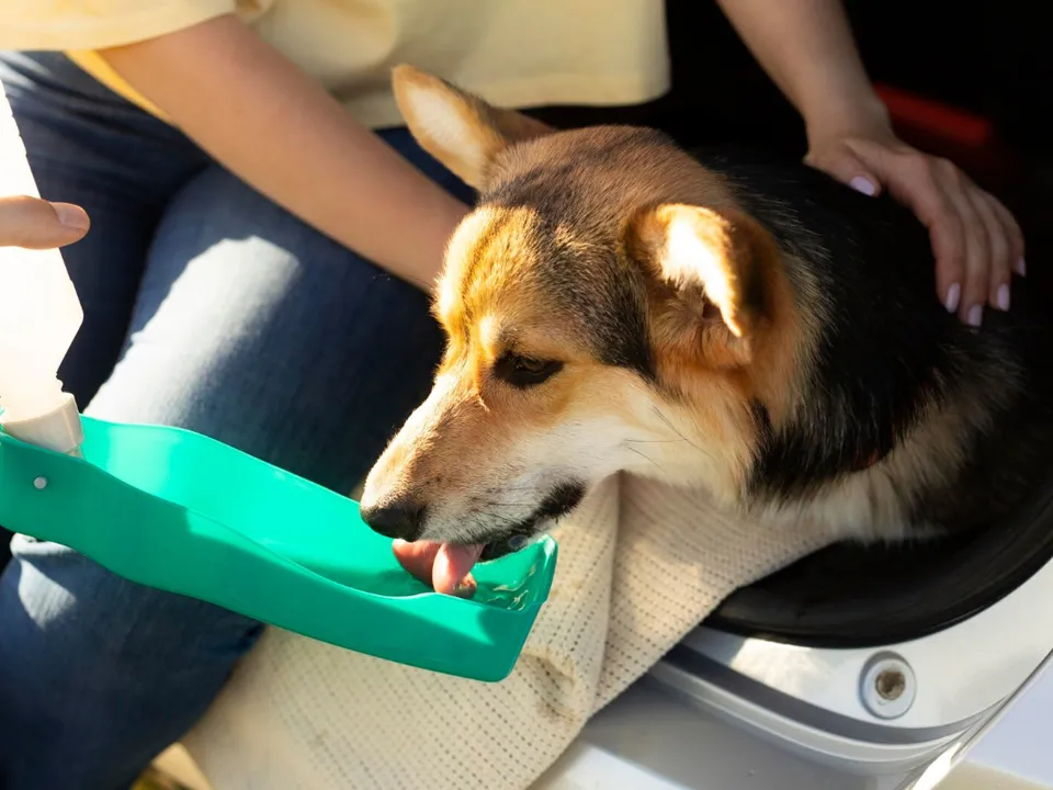 Фото: freepik.com