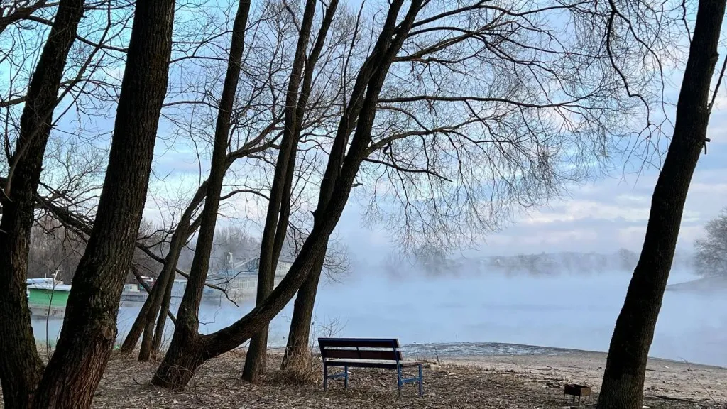 Фото: Елена Фурман