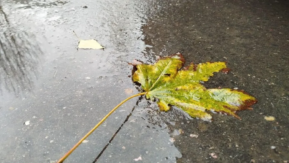 Фото: REGIONS/Наталья Дорофеева