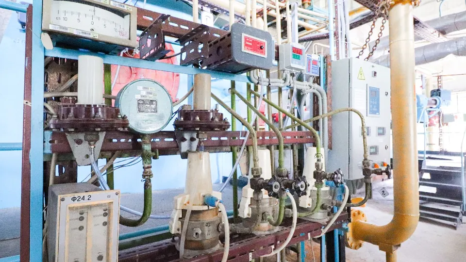 Фото: МедиаБанк Подмосковья/Данила Кирьянов