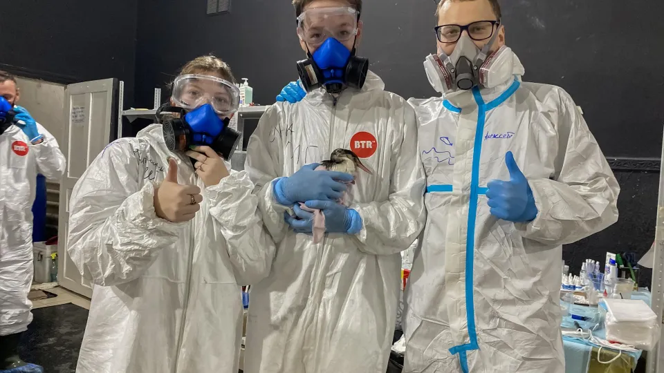 Фото: «Молодая Гвардия Единой России»