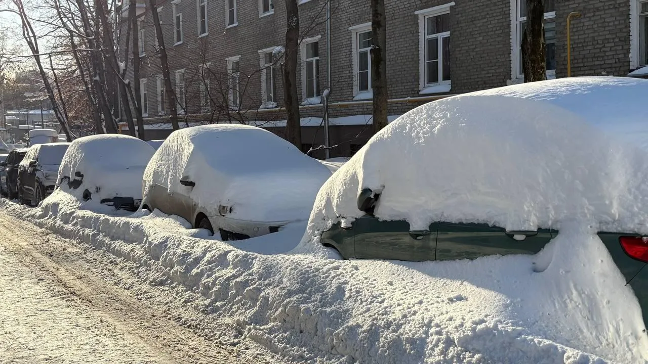 REGIONS/Полина Крачун