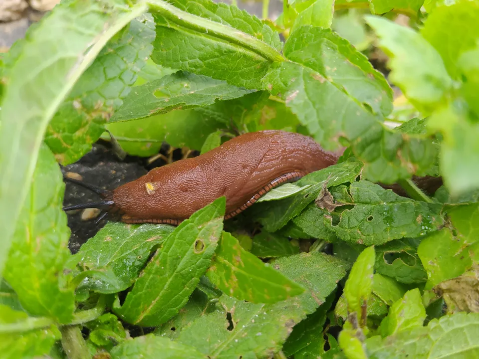 Фото: МедиаБанк Подмосковья/Владимир Киселев