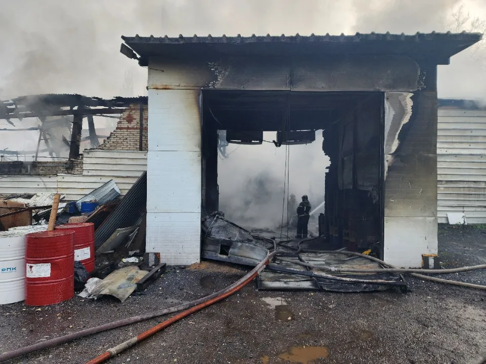 Фото: МедиаБанк Подмосковья/Мария Шигорева