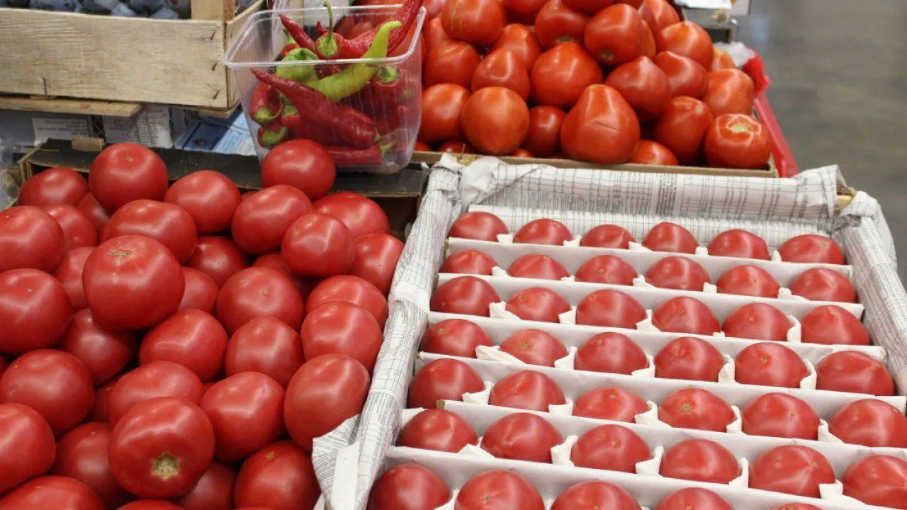 REGIONS/Анастасия Широкая