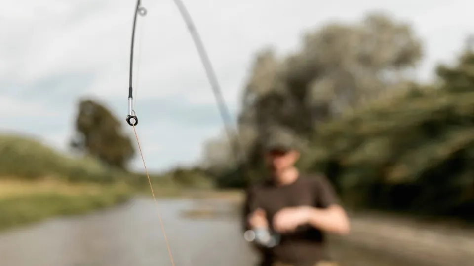 Фото: freepik.com